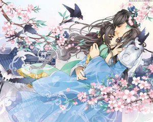 动漫男女差差差滑轮